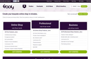 Frooly | Web Design Sheffield
