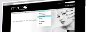 Mint Salons | Web Design Sheffield